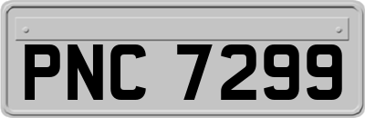 PNC7299