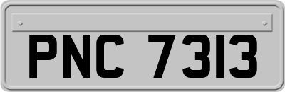 PNC7313