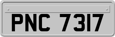 PNC7317