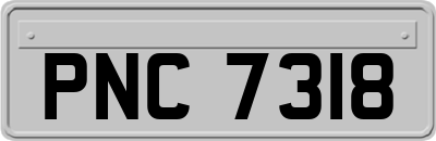 PNC7318