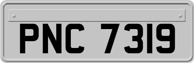 PNC7319