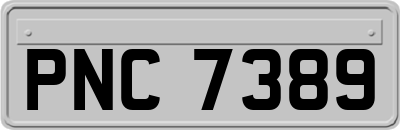 PNC7389