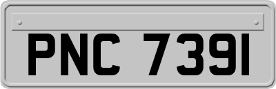 PNC7391