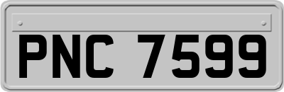 PNC7599