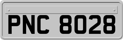 PNC8028