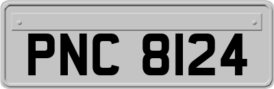 PNC8124