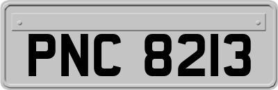 PNC8213