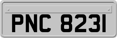 PNC8231