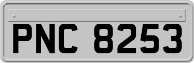 PNC8253