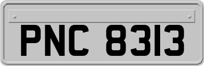 PNC8313