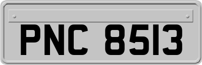 PNC8513