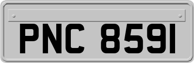 PNC8591