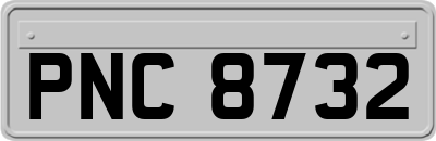 PNC8732