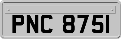 PNC8751