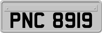 PNC8919