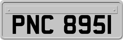 PNC8951