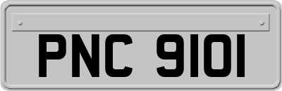 PNC9101