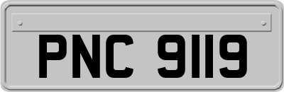 PNC9119