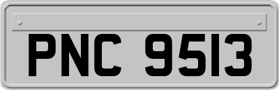 PNC9513