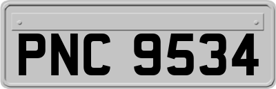 PNC9534