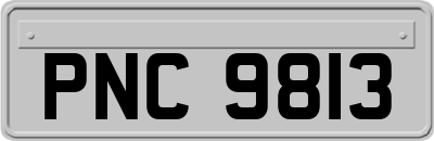 PNC9813