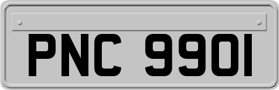 PNC9901
