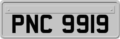 PNC9919