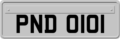 PND0101
