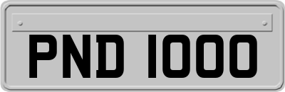 PND1000