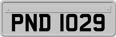 PND1029