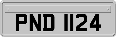 PND1124
