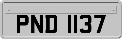 PND1137