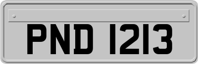 PND1213