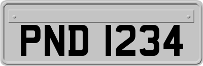 PND1234