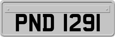 PND1291