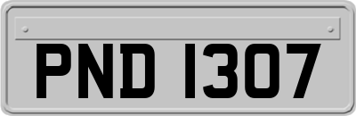 PND1307