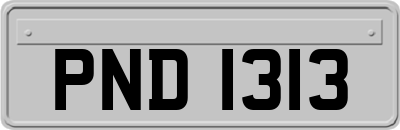 PND1313