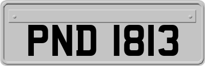 PND1813