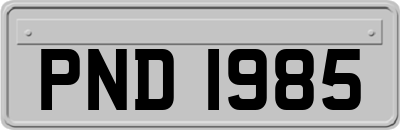 PND1985