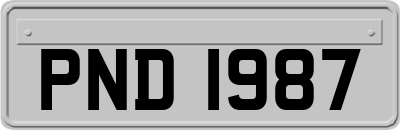 PND1987