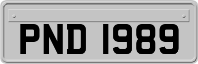 PND1989