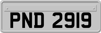 PND2919