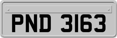 PND3163