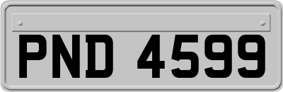 PND4599