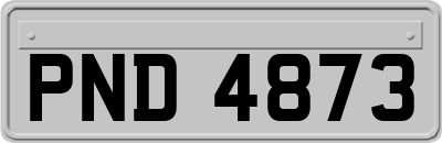 PND4873