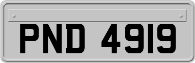 PND4919