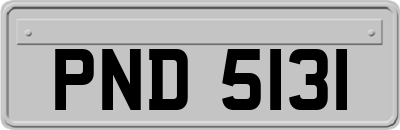 PND5131