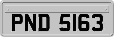 PND5163