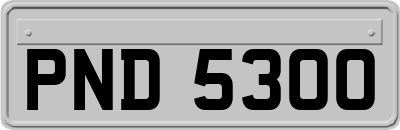 PND5300