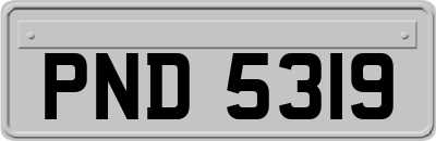PND5319